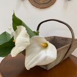 Wooden basket XL oléron fishing bucket