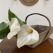 Panier en bois XL baquet de pêche d’Oléron
