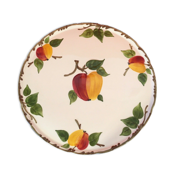 Vintage Dish Villeray and Boch