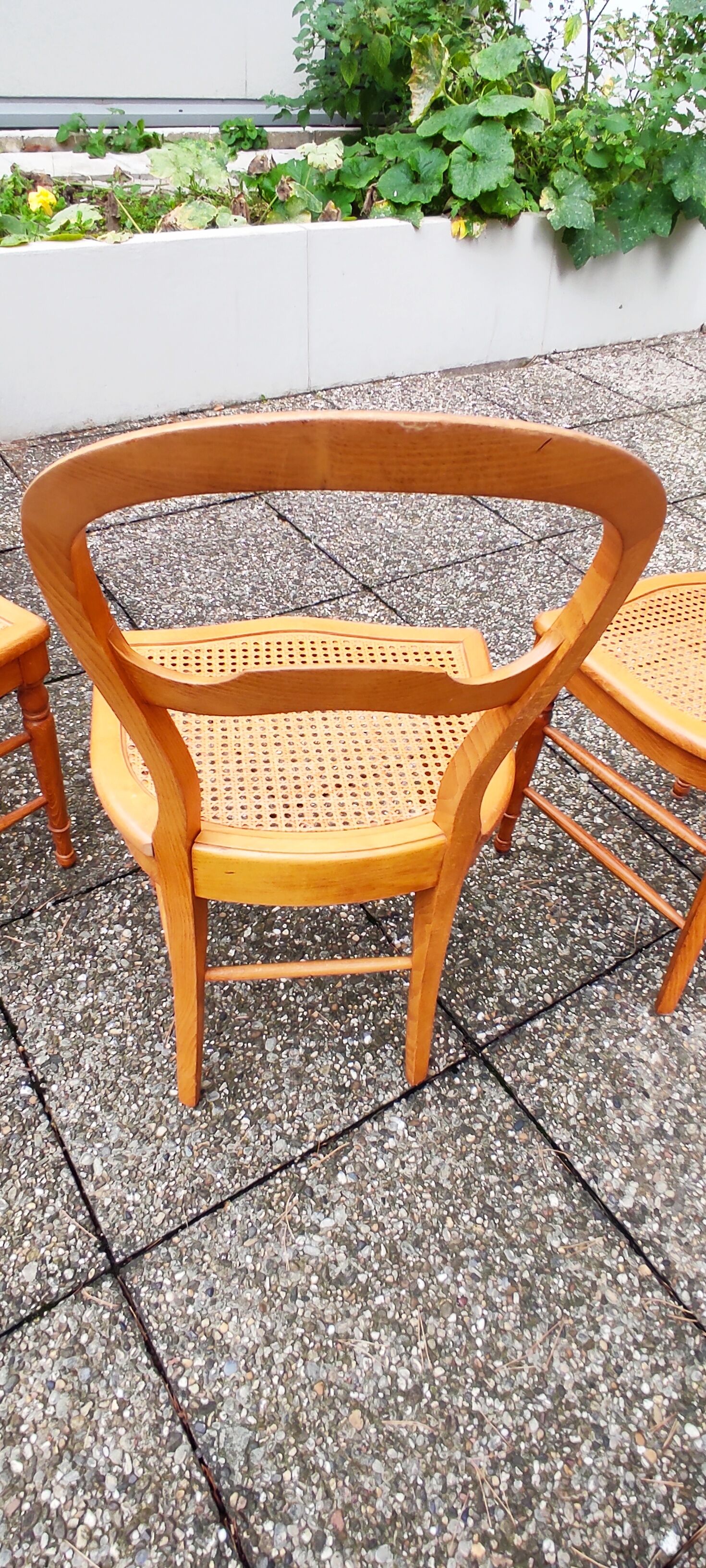 Set of 4 dining room chairs in solid birch wood and cannage; louis philippe style, very b