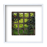Limited edition art photo. Numbered, dated and signed by the photographer
