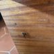 Music table in Italian marquetry (Sorrento) - Melody "Torna"