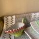 Asparagus dish and sauce boat in slip