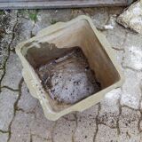 Cement planter 1950/60