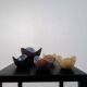 Mid-Century Modern Set of 5 Bowls Rörstrand Gunnar Nylund, Sweden, 1950s