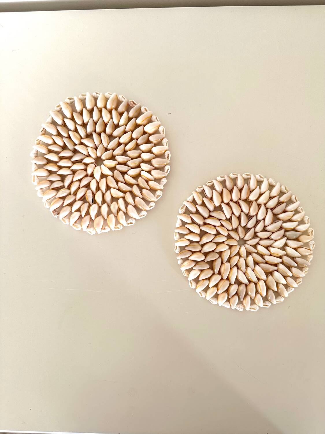 Pair of shell trivets