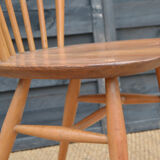 Pair of chairs by Lucian Ercolani