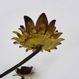 Very large chandelier with 9 metal bulbs and gold leaf cup