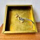 Ice Cube Wall or Ceiling Lamp by Peill and Putzler