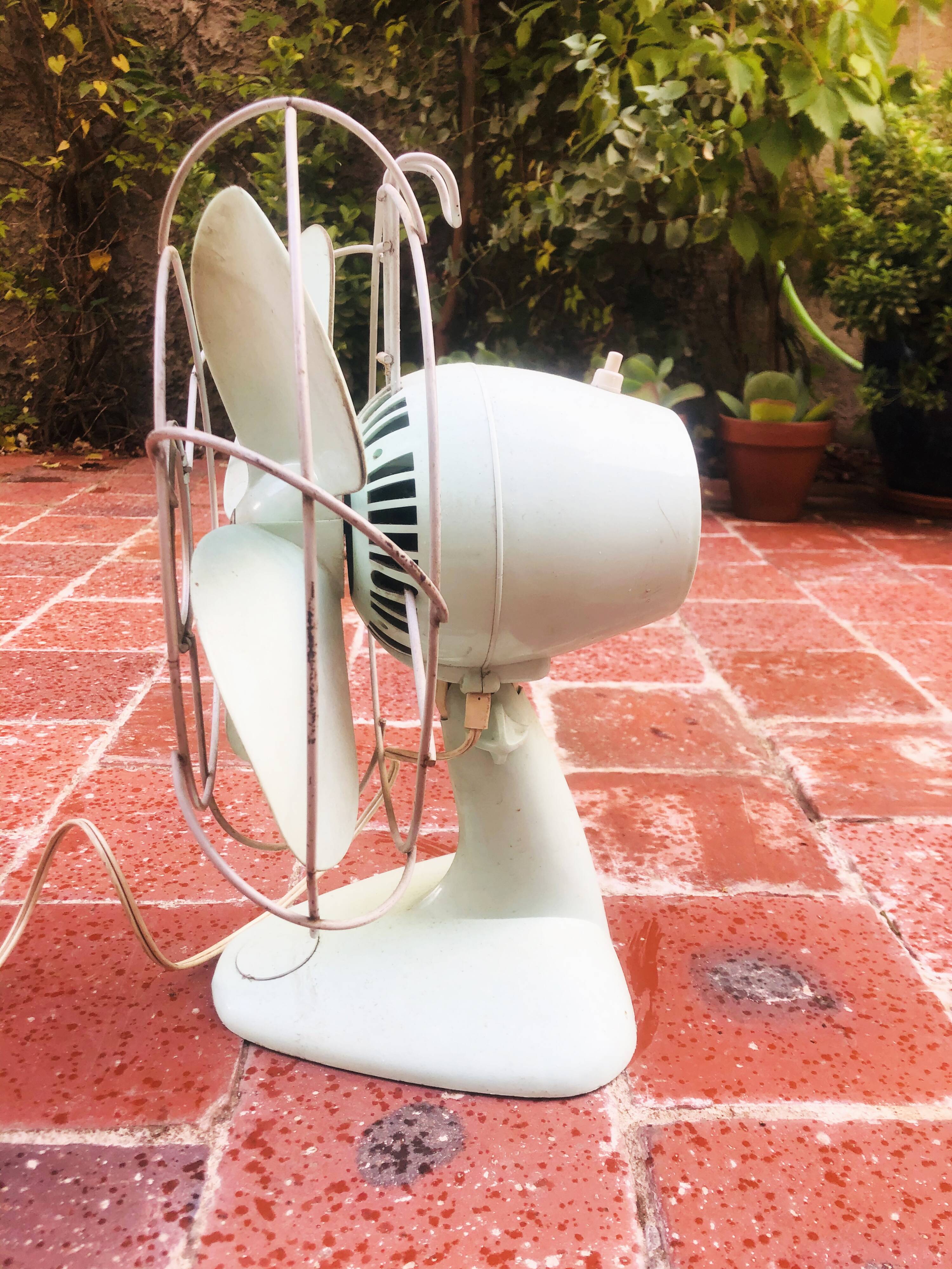 Calor fan