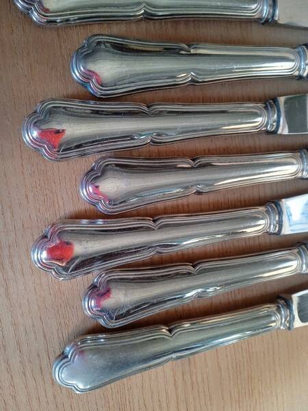 12 dixi knives in silver metal, filet model