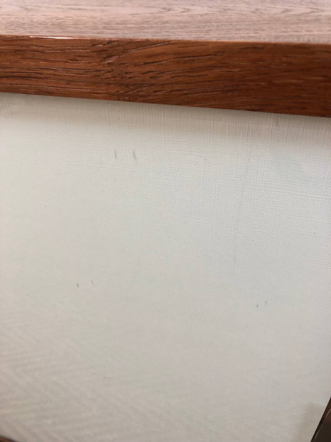 Shelf / display case