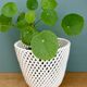 Vintage woven ceramic plant pot