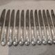 12 silver-plated metal table knives Ercuis model Dubarry
