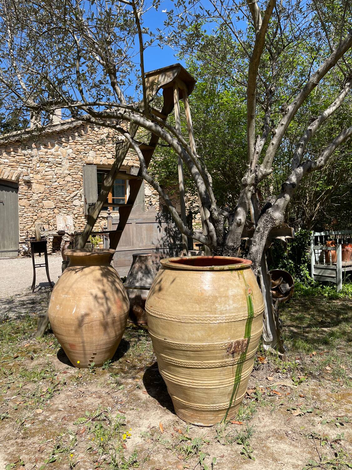 Terracotta jar pottery from the 1880s.