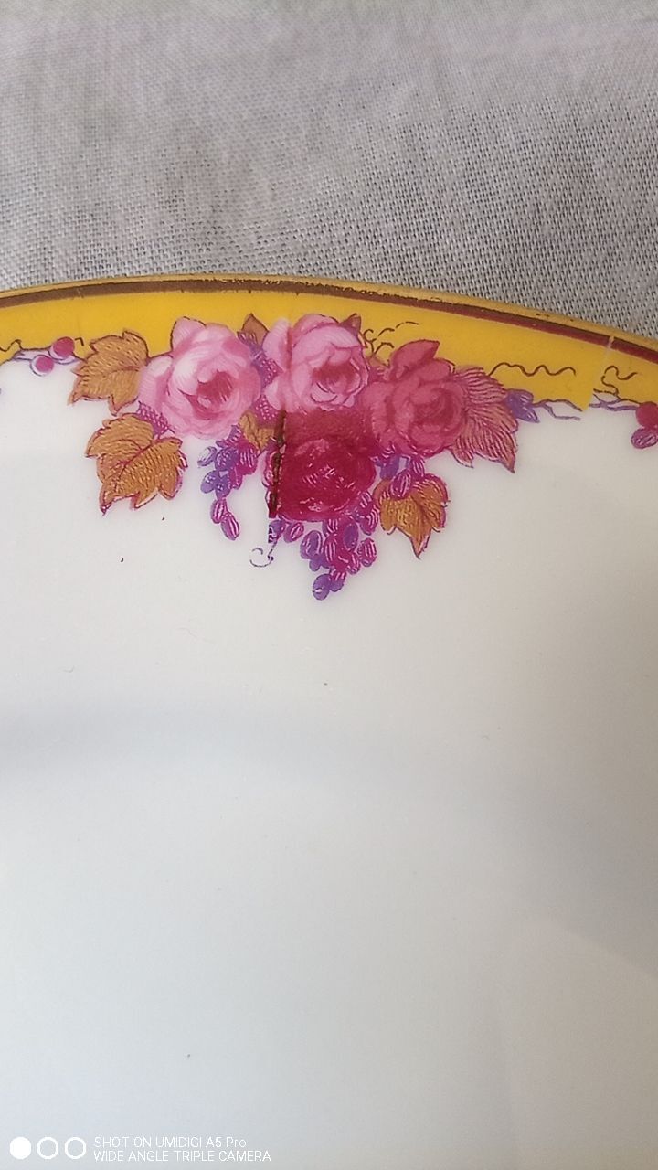 Limoges porcelain by André François (1919-1934) - 12 plates + 1 dish