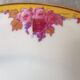 Limoges porcelain by André François (1919-1934) - 12 plates + 1 dish