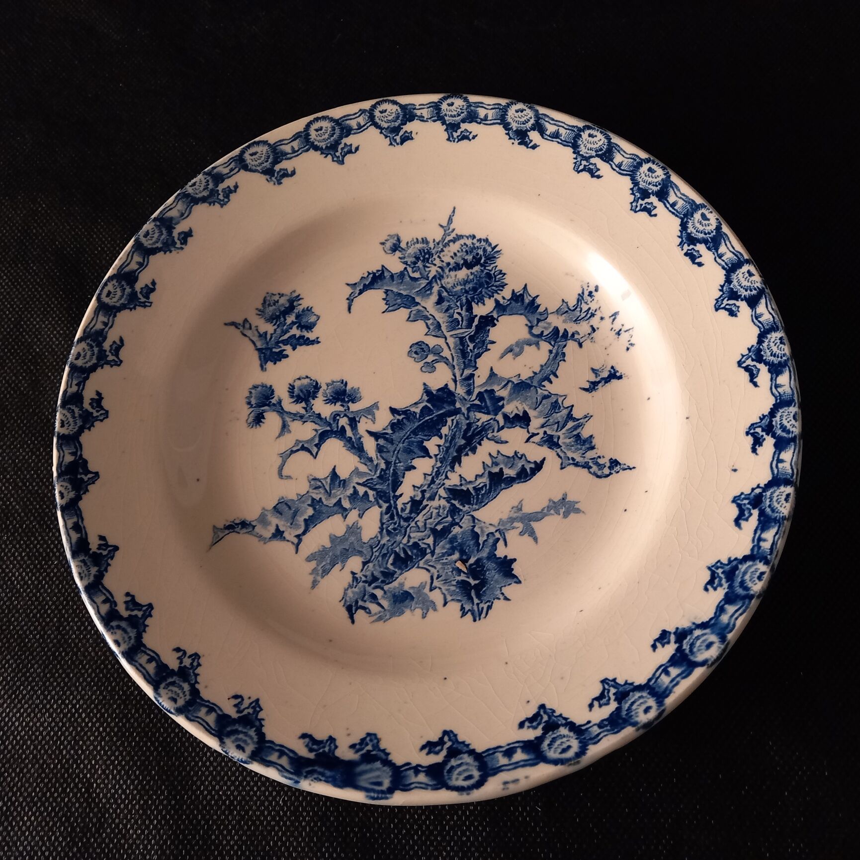 Plate Model thistles - Porcelain Opaque earthenware from Gien