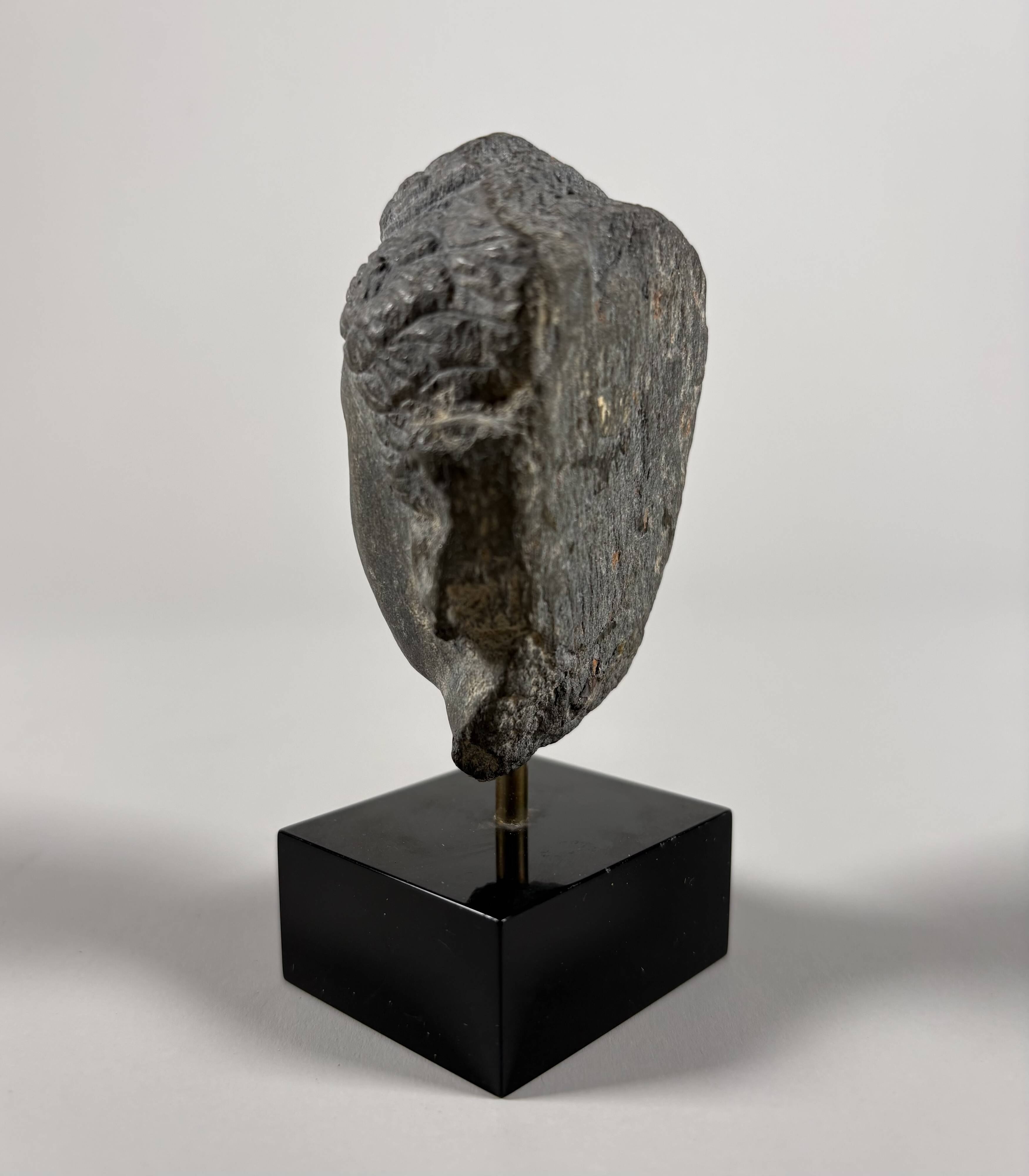 Sculpture of a Buddha head in grey schist from Gandhara, ancient Greece.