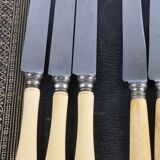 Antique knives with ivory handles.
