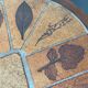 Coffee table Roger Capron ceramic herbarium and vintage wood year 1960