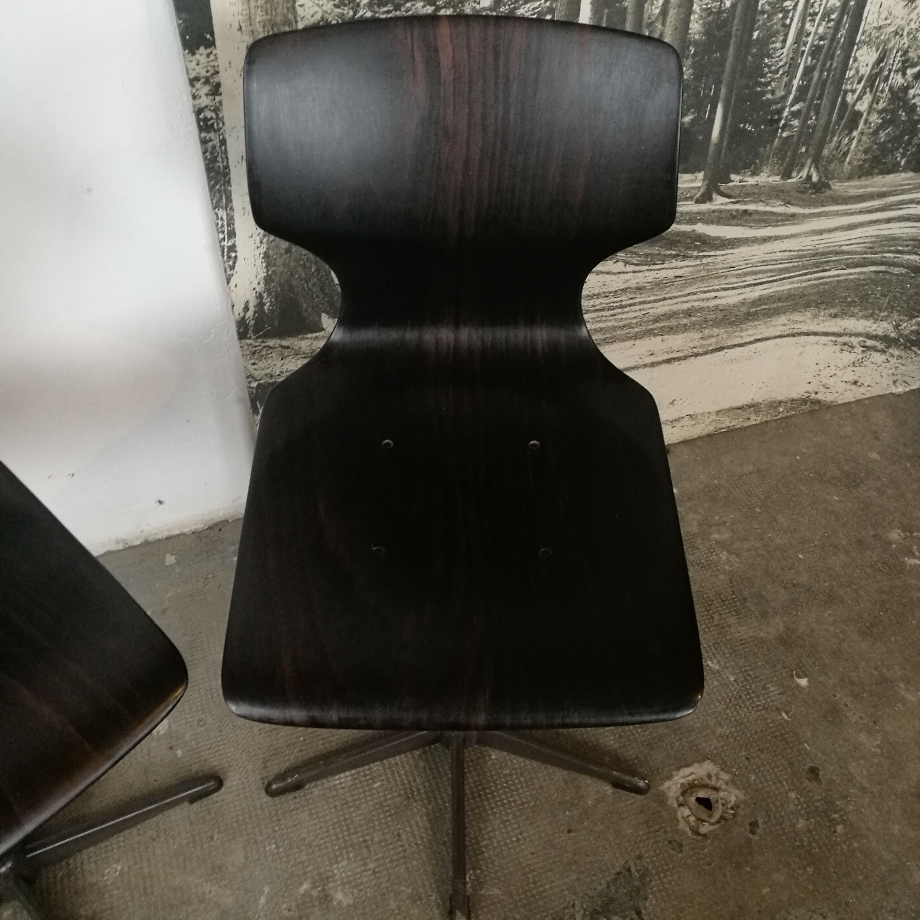 Pair of chairs Pagholz, Flototto