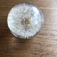 Decorative paper press, glass