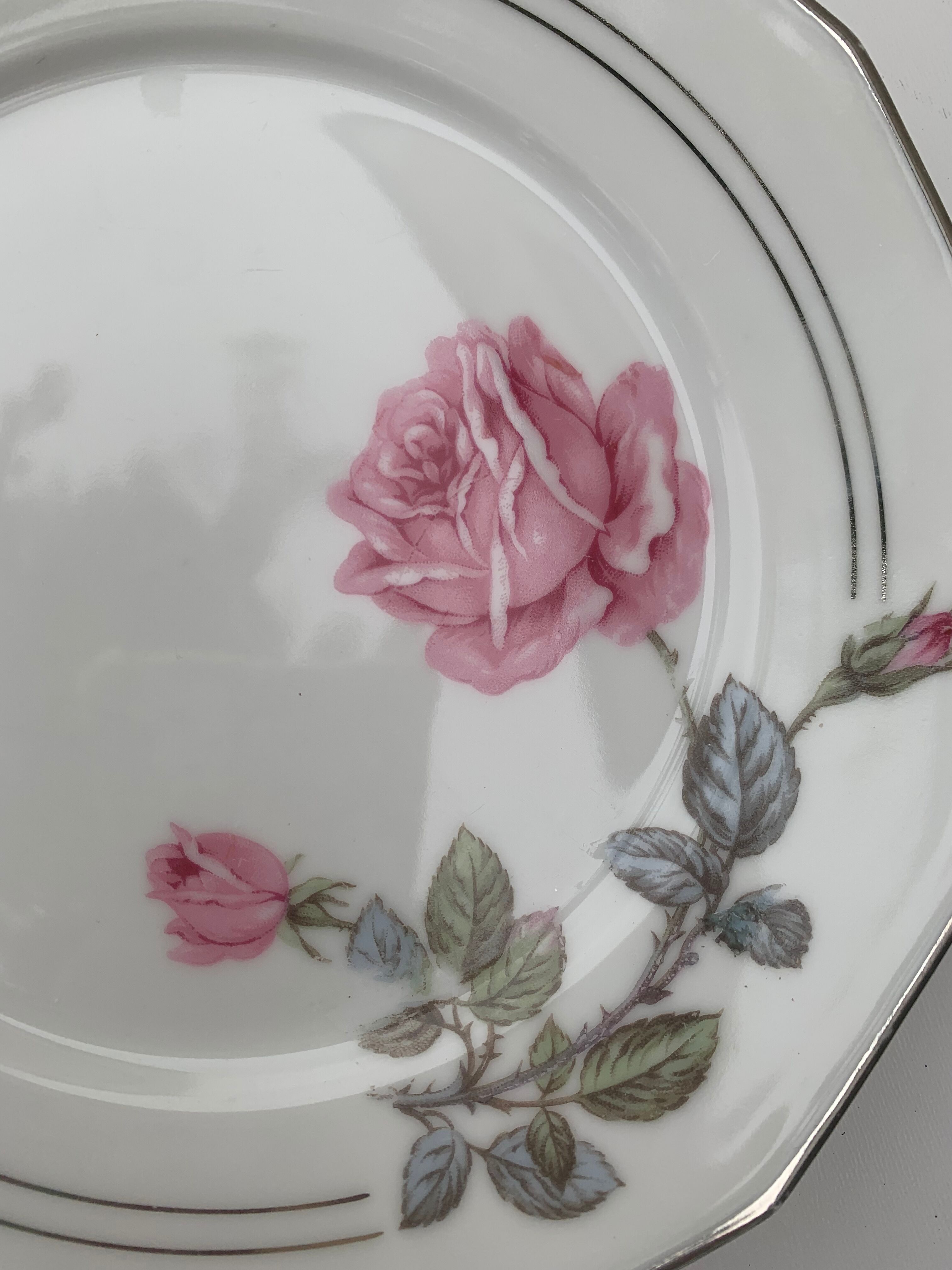 6 dessert plates in white porcelain with art deco rose pattern