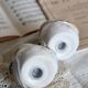 Vintage earthenware and slip salt and pepper shakers with duck motif