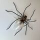 Mid-Century Spider Wall Lamp, 1960s