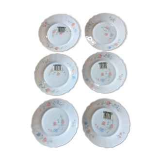 Arcopal set of 6 dessert plates scented pea pattern