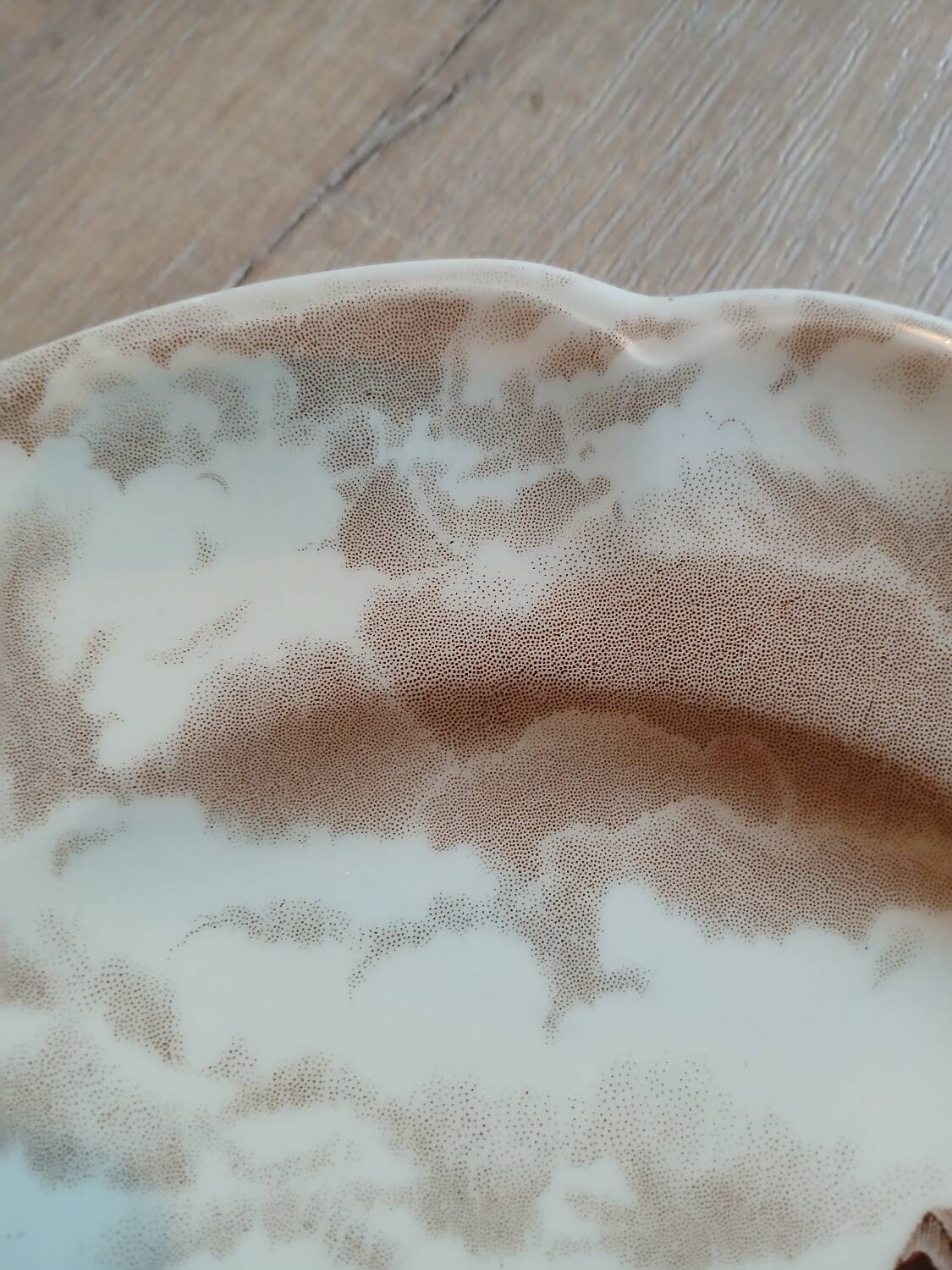 Antique Johnson Bros Dinner Plate