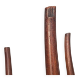 Chaises Thonet antique fin 19ème siècle modèle 14