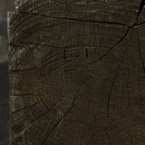 Sculpture en bois d’Elie Traskine représentant Raspoutine