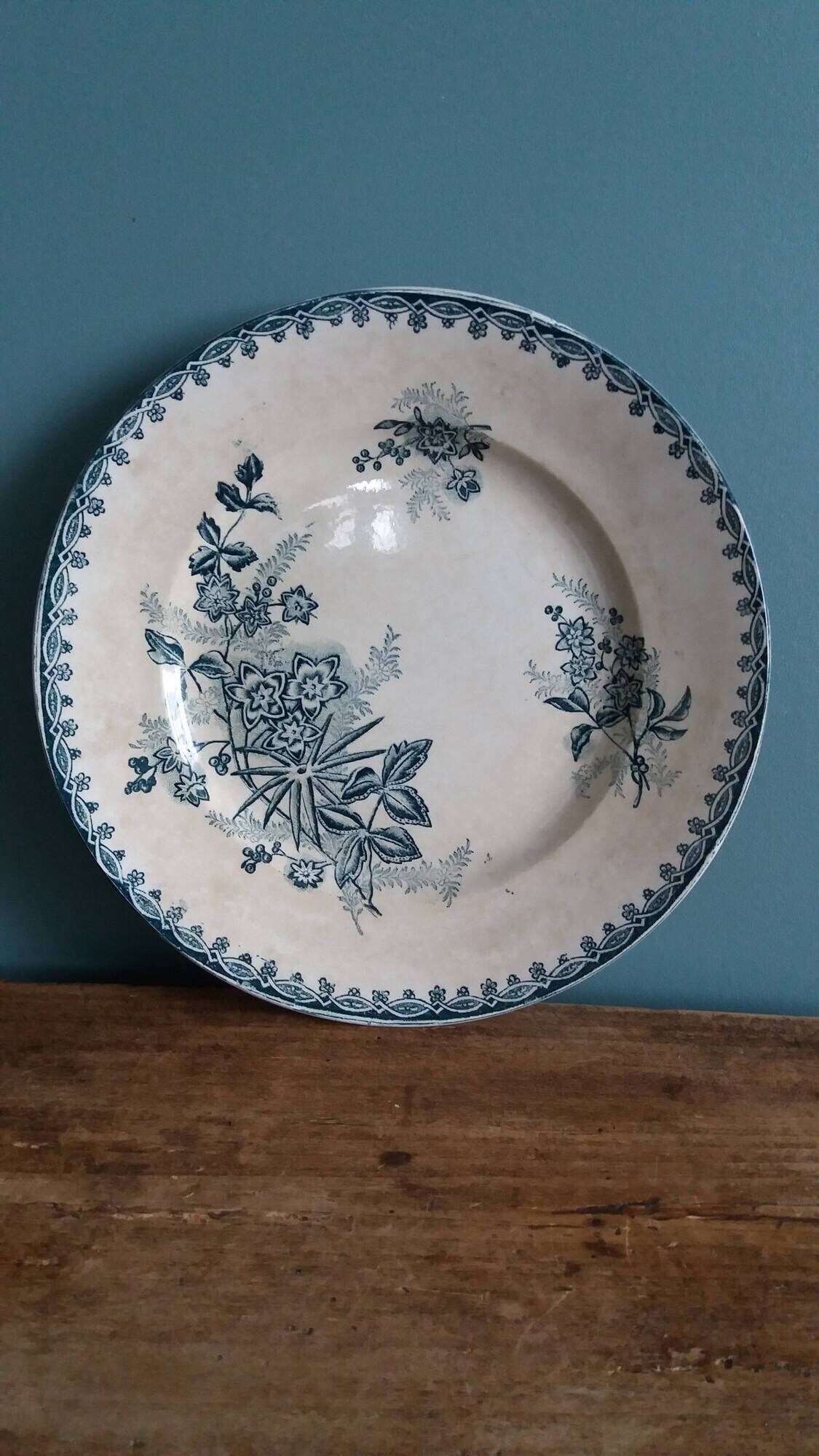 Flat plate, ironstone, Saint Amand, Margot decoration, Amandinoise company, 1920.