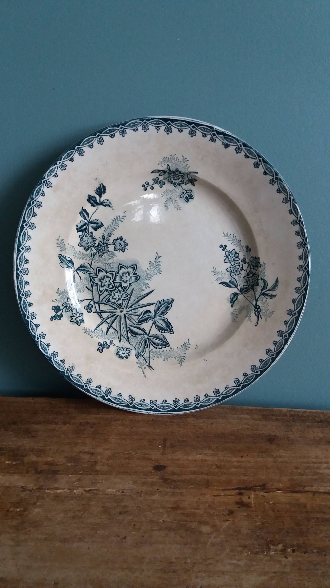 Flat plate, ironstone, Saint Amand, Margot decoration, Amandinoise company, 1920.