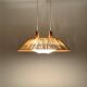 Raffia Bast and Teak Pendant Lamp from Temde