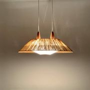 Raffia Bast and Teak Pendant Lamp from Temde