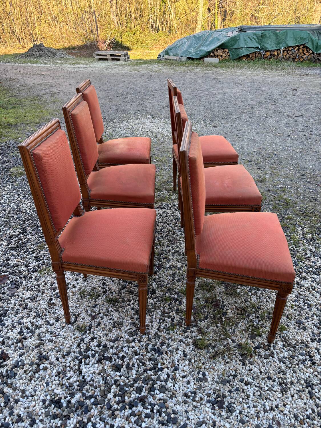 Louis XVI style chairs