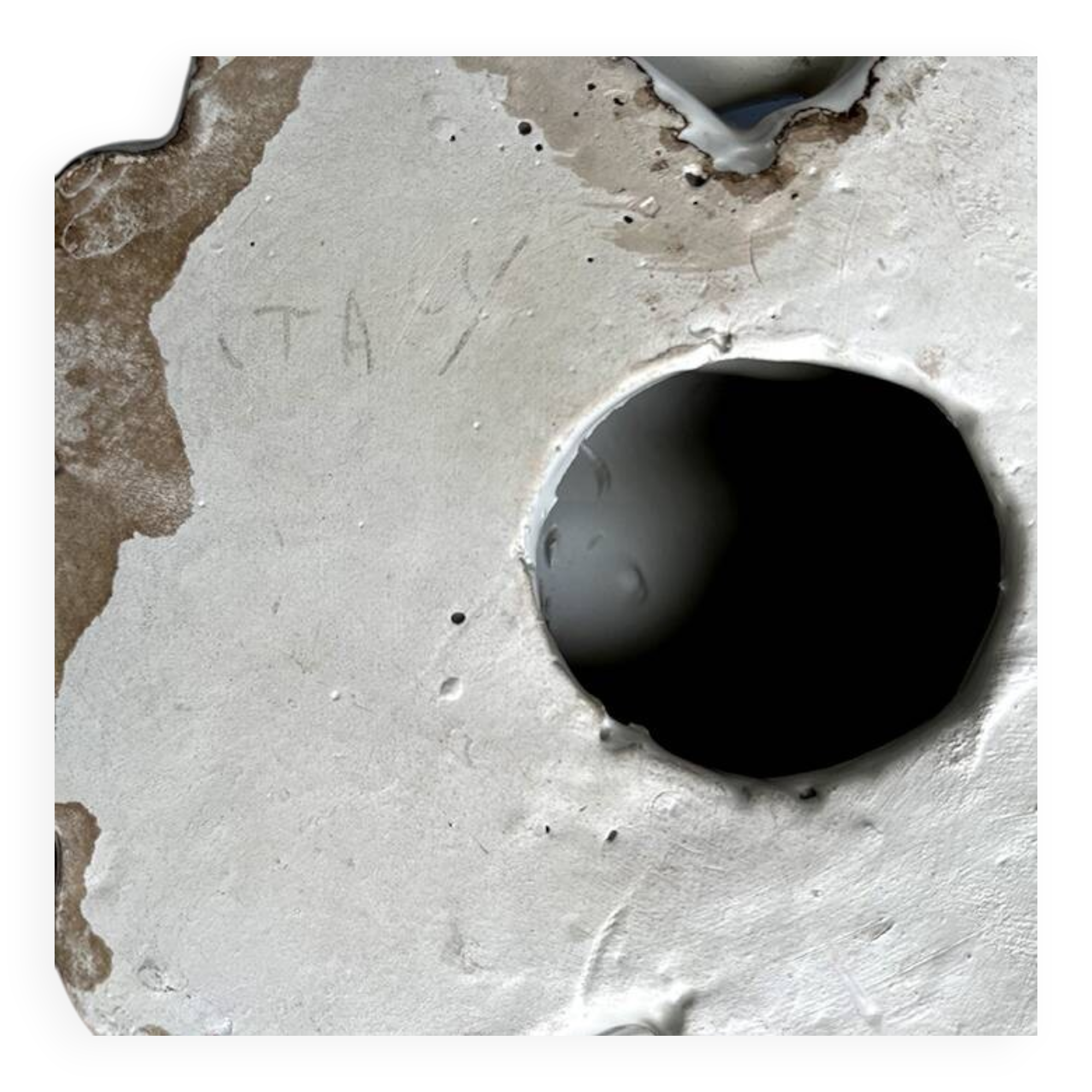 Enameled porcelain dog