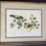 Table: Antique engraving by F Massa