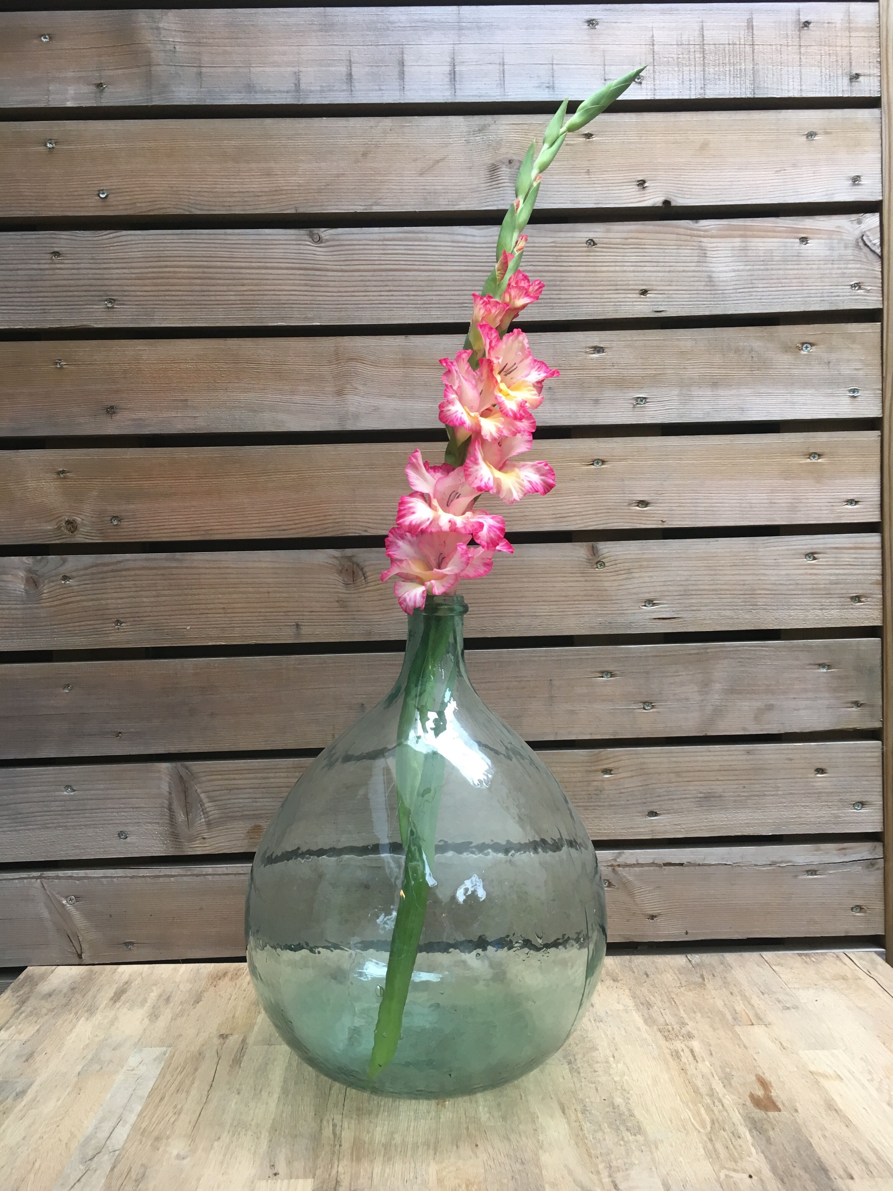 Demijohn transparent 10L