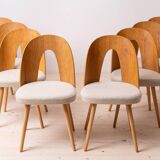 Set of 16 Mid Century Dining Chairs by A.Šuman, Customizable Upholstery Available
