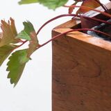 Vintage extra large teak planter