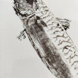 Framed Art Print, "Gyotaku of a Mackerel"