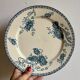 Set of 10 antique flat plates in ironstone, Royat from Sarreguemines.