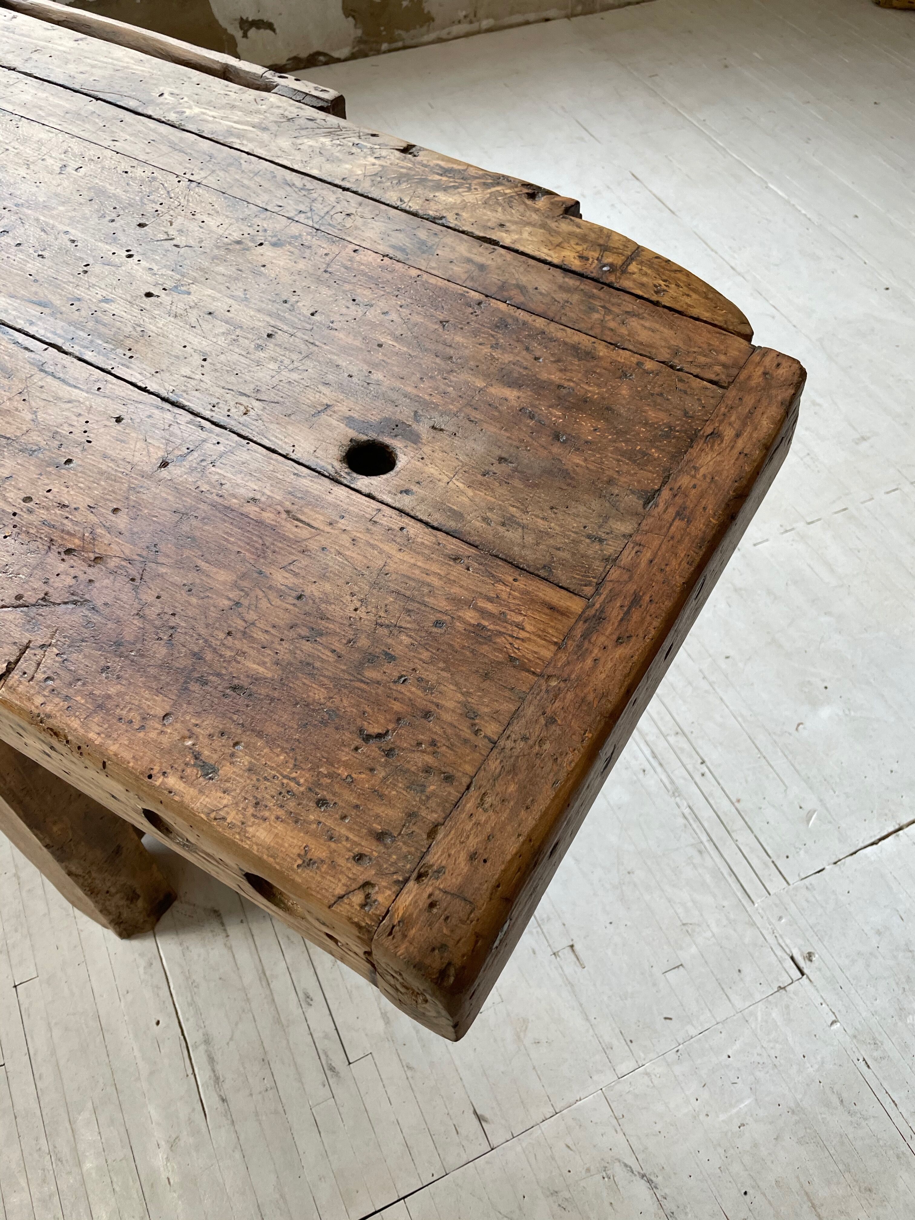 Established old oak XL