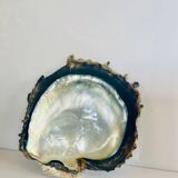 Large mother-of-pearl shell