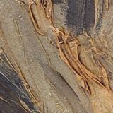 Old painting French school 19th century