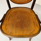 Fauteuil Art Nouveau modèle 1059 Michael Thonet, 1920